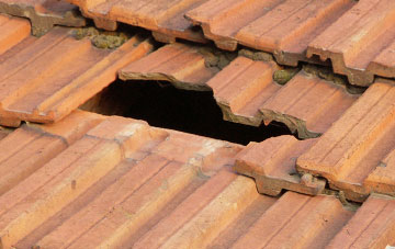 roof repair Goxhill